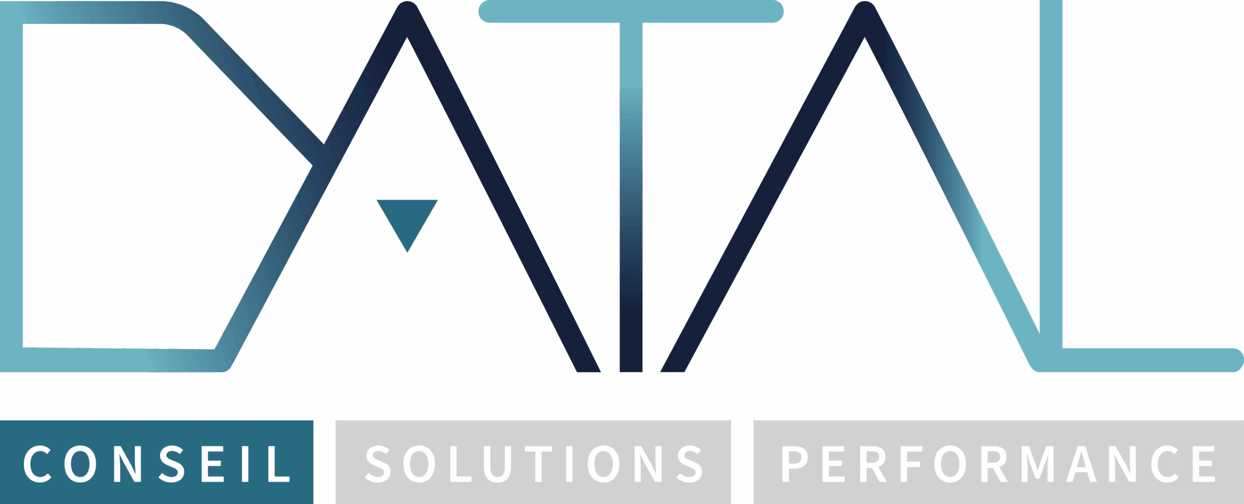 DATAL Logo métier et axe conseil