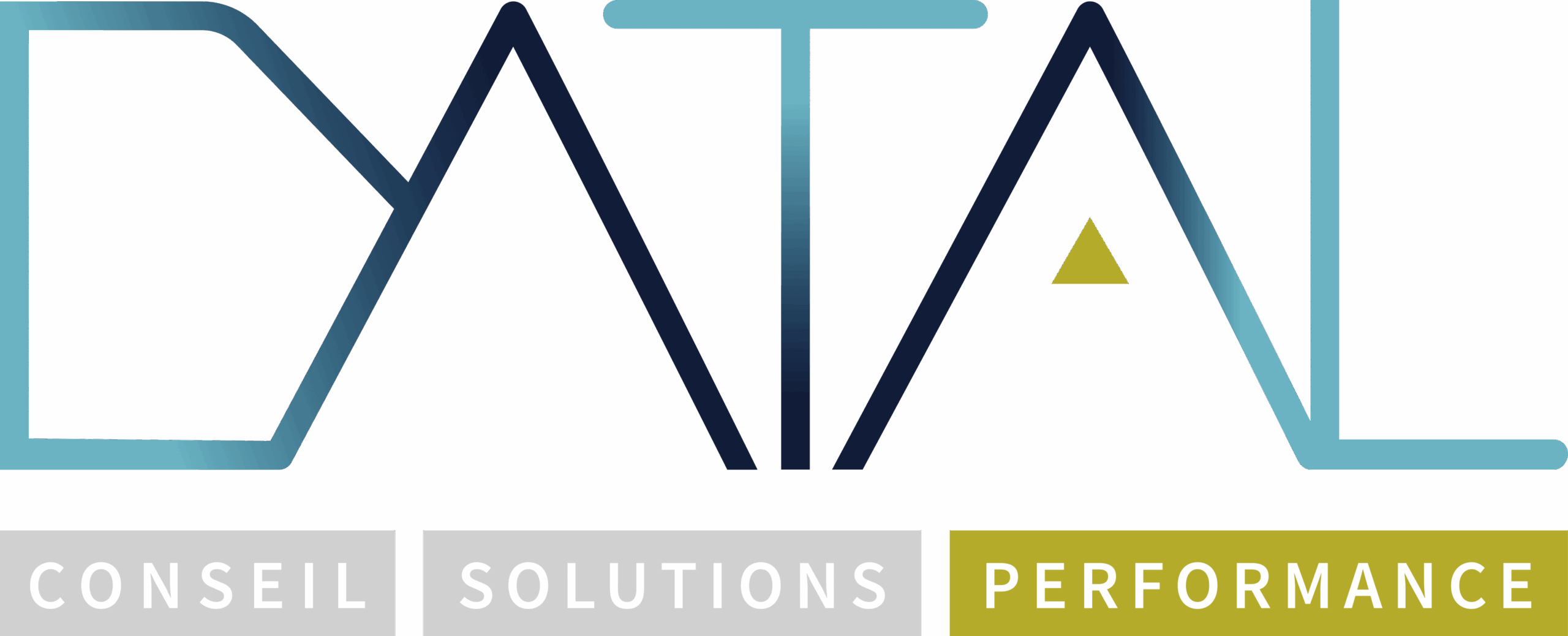 DATAL Logo métier et axe Performance